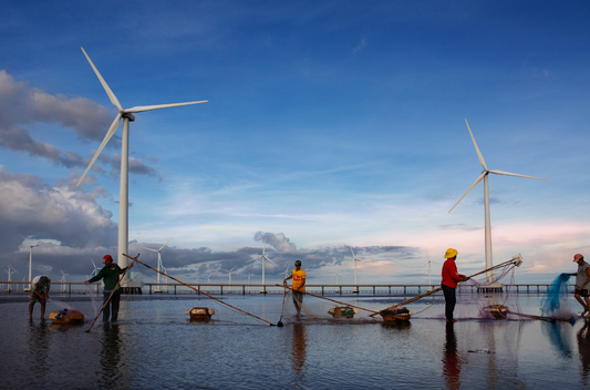 How to Become a Sustainable Business